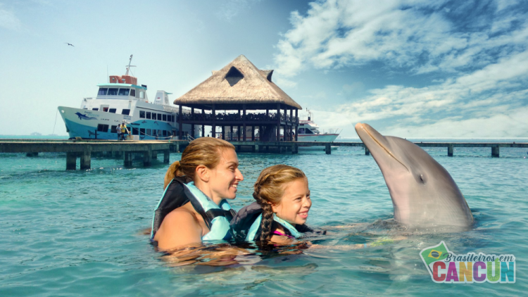 dolphin-discovery-isla-mujeress