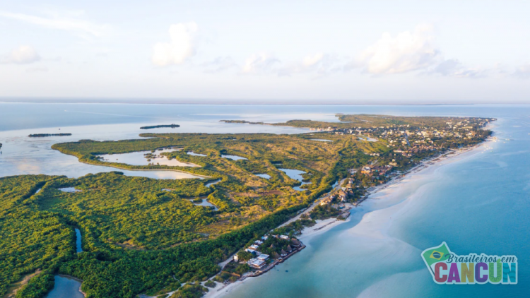 holbox1